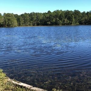 Meet your Posher, Kevin